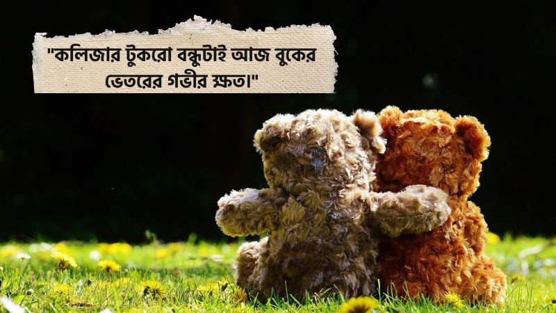 কলিজার বন্ধু নিয়ে কষ্টের স্ট্যাটাস