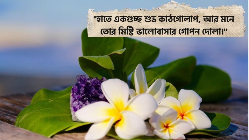 কাঠগোলাপ ফুলের ছবি হাতে নিয়ে ক্যাপশন