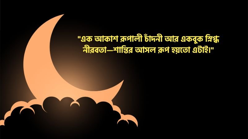 চাঁদনী রাত নিয়ে ক্যাপশন