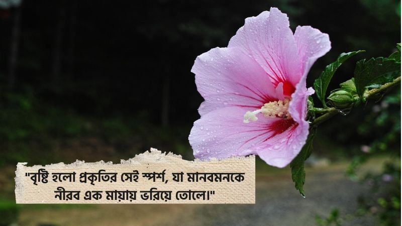 বৃষ্টির দিনের অনুভূতি ফেসবুক স্ট্যাটাস