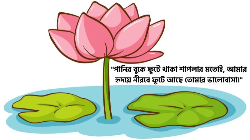 শাপলা ফুল নিয়ে রোমান্টিক স্ট্যাটাস
