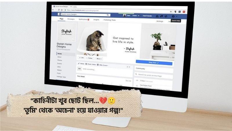 টিকটক বায়ো স্টাইলিশ বাংলা কষ্টের
