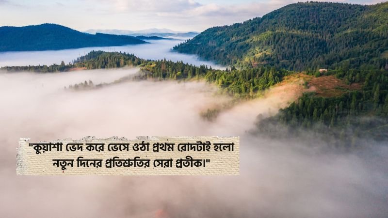 ভোরের কুয়াশা নিয়ে উক্তি