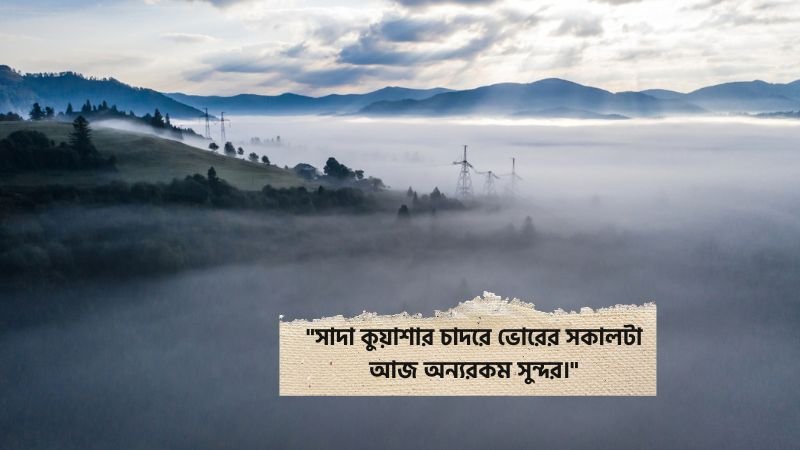 ভোরের কুয়াশা নিয়ে স্ট্যাটাস
