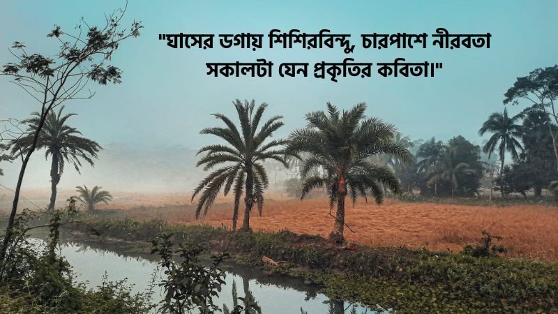 শিশির ভেজা সকাল নিয়ে ক্যাপশন