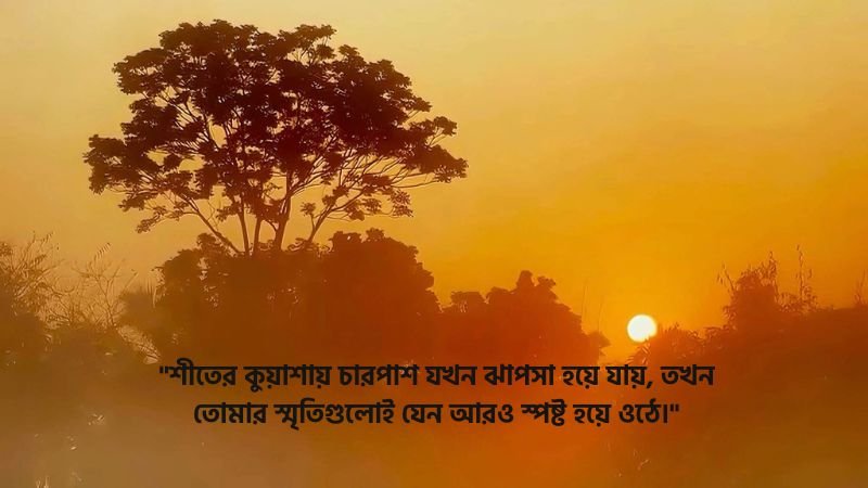 শীতের কুয়াশা নিয়ে রোমান্টিক স্ট্যাটাস