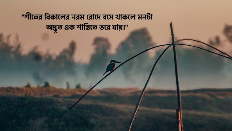 শীতের বিকাল নিয়ে ফেসবুক স্ট্যাটাস