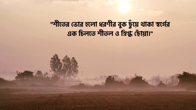 শীতের সকাল নিয়ে উক্তি