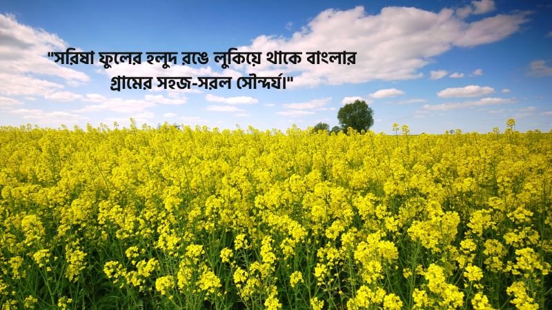 সরিষা ফুল নিয়ে উক্তি