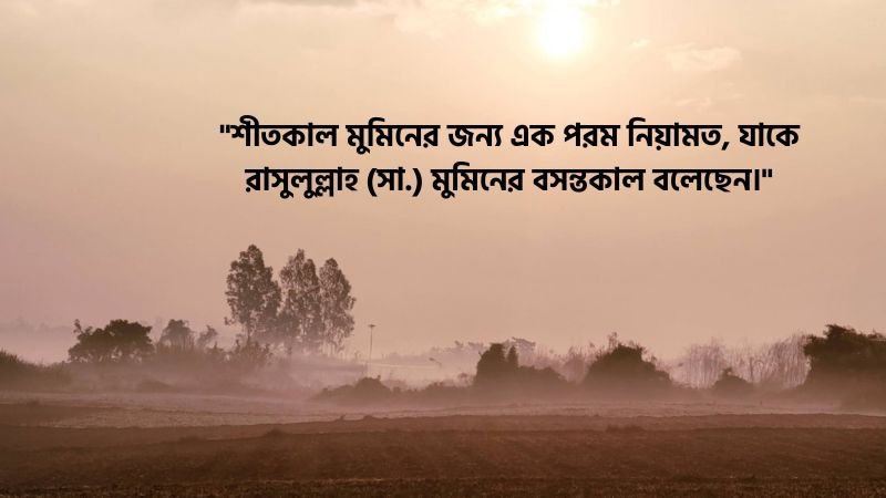 শীত নিয়ে ইসলামিক ক্যাপশন