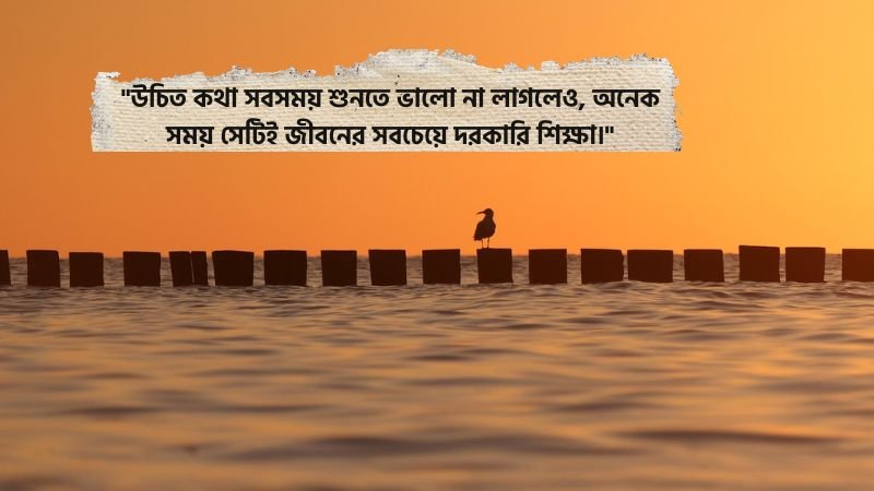 উচিত কথা নিয়ে উক্তি