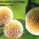 কদম ফুল নিয়ে ক্যাপশন