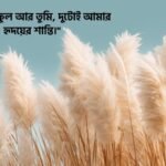 কাশফুল নিয়ে রোমান্টিক ক্যাপশন