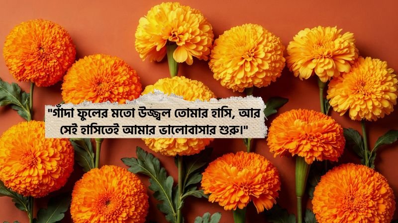 গাঁদা ফুল নিয়ে রোমান্টিক ক্যাপশন