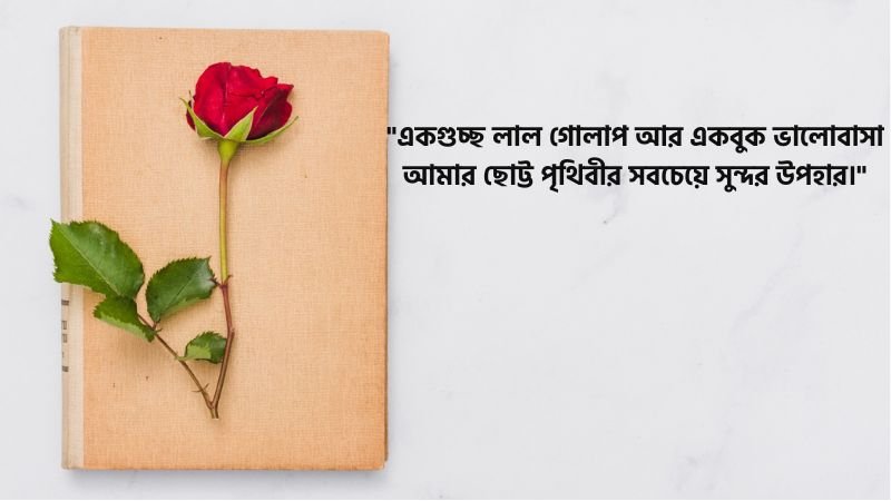 গোলাপ ফুল নিয়ে রোমান্টিক ক্যাপশন
