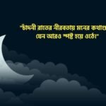 চাঁদনী রাত নিয়ে উক্তি