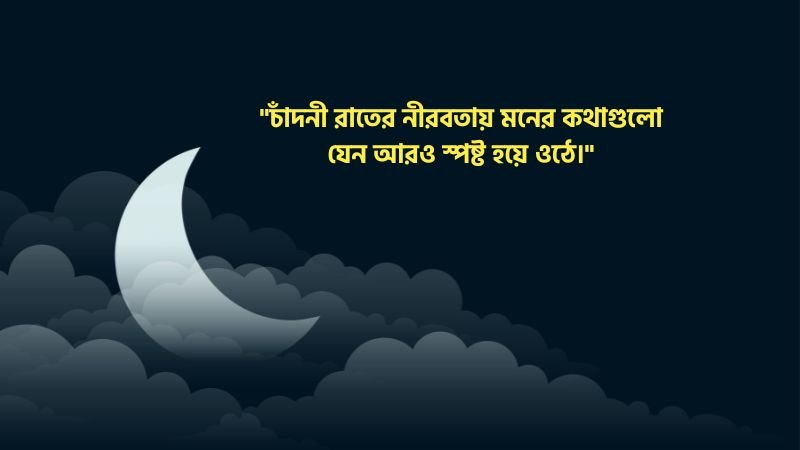 চাঁদনী রাত নিয়ে উক্তি