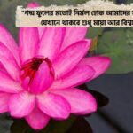 পদ্ম ফুল নিয়ে ভালোবাসার ক্যাপশন