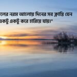 পরন্ত বিকেল নিয়ে উক্তি