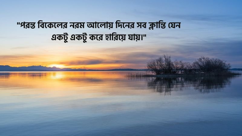 পরন্ত বিকেল নিয়ে উক্তি
