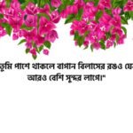 বাগান বিলাস ফুল নিয়ে রোমান্টিক ক্যাপশন