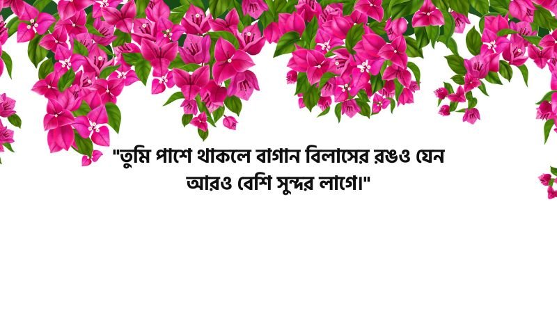 বাগান বিলাস ফুল নিয়ে রোমান্টিক ক্যাপশন