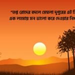 বৃষ্টি ভেজা দুপুর নিয়ে ক্যাপশন
