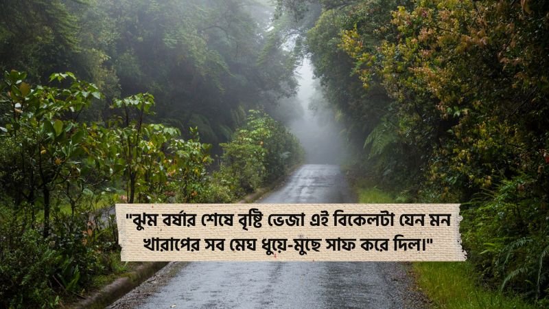 বৃষ্টি ভেজা বিকেল নিয়ে ক্যাপশন