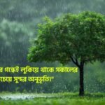 বৃষ্টি ভেজা সকাল নিয়ে ক্যাপশন