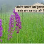 বৃষ্টির দিনের অনুভূতি ক্যাপশন