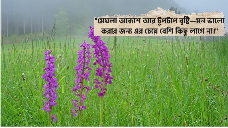 বৃষ্টির দিনের অনুভূতি ক্যাপশন
