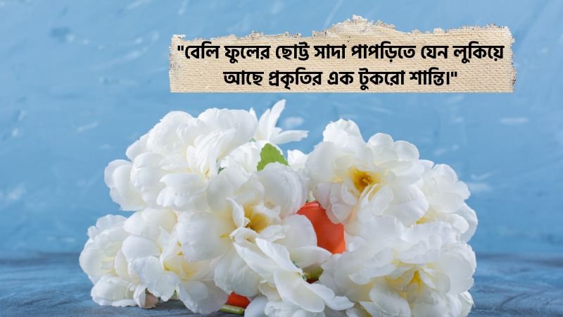 বেলি ফুল নিয়ে স্ট্যাটাস