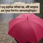 রহমতের বৃষ্টি নিয়ে স্ট্যাটাস