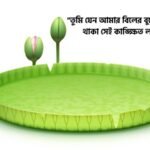 শাপলা ফুল নিয়ে ভালোবাসার ক্যাপশন