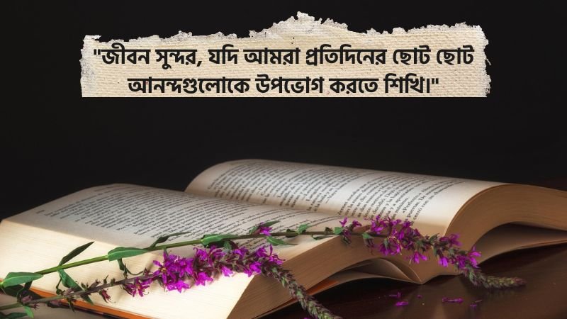 সুন্দর জীবন নিয়ে স্ট্যাটাস