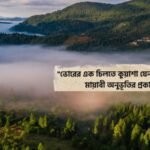 ভোরের কুয়াশা নিয়ে ক্যাপশন