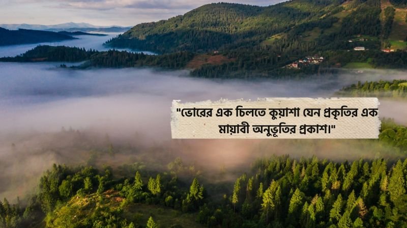 ভোরের কুয়াশা নিয়ে ক্যাপশন