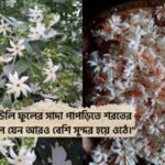 শিউলি ফুল নিয়ে ক্যাপশন