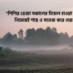 শিশির ভেজা সকাল নিয়ে স্ট্যাটাস