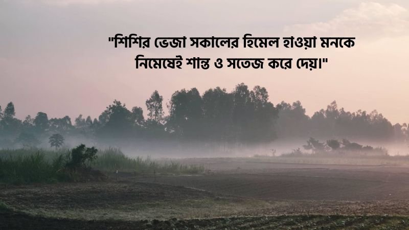শিশির ভেজা সকাল নিয়ে স্ট্যাটাস