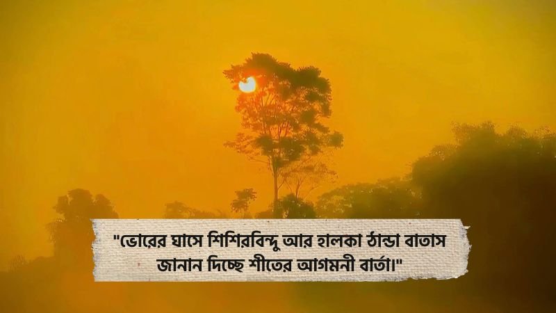 শীতের আগমন নিয়ে ক্যাপশন