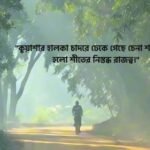 শীতের কুয়াশা নিয়ে ক্যাপশন