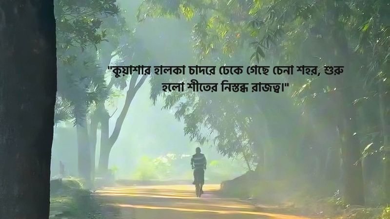 শীতের কুয়াশা নিয়ে ক্যাপশন