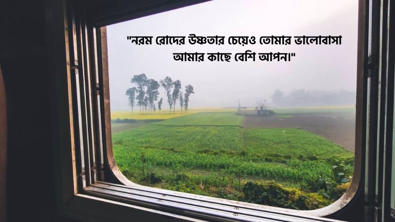 শীতের বিকাল নিয়ে রোমান্টিক ক্যাপশন