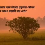 শীতের সন্ধ্যা নিয়ে ক্যাপশন