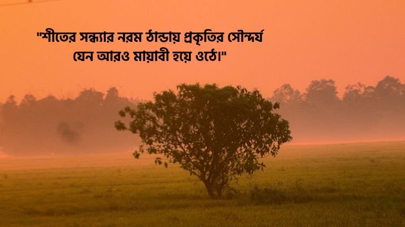 শীতের সন্ধ্যা নিয়ে ক্যাপশন