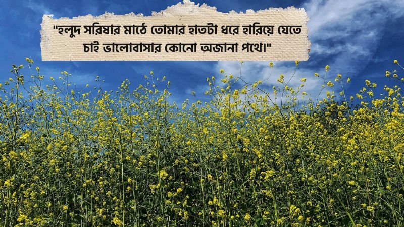 সরিষা ফুল নিয়ে রোমান্টিক ক্যাপশন
