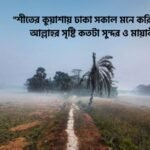 শীত নিয়ে ইসলামিক স্ট্যাটাস