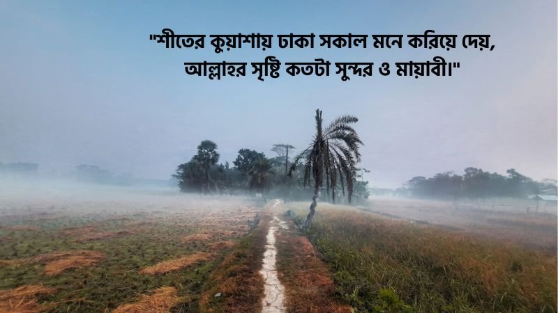 শীত নিয়ে ইসলামিক স্ট্যাটাস